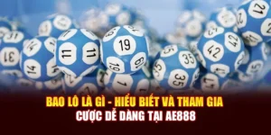 Bao Lô Là Gì - Hiểu Biết Và Tham Gia Cược Dễ Dàng Tại AE888