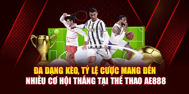Đa dạng kèo, tỷ lệ cược mang đến nhiều cơ hội thắng tại thể thao AE888